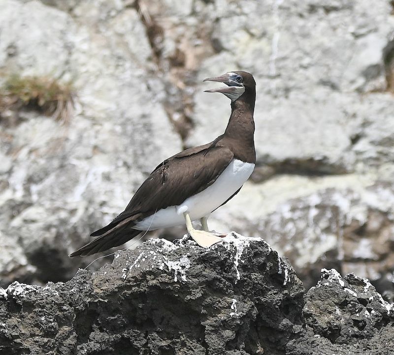 DSC_8124b.jpg
