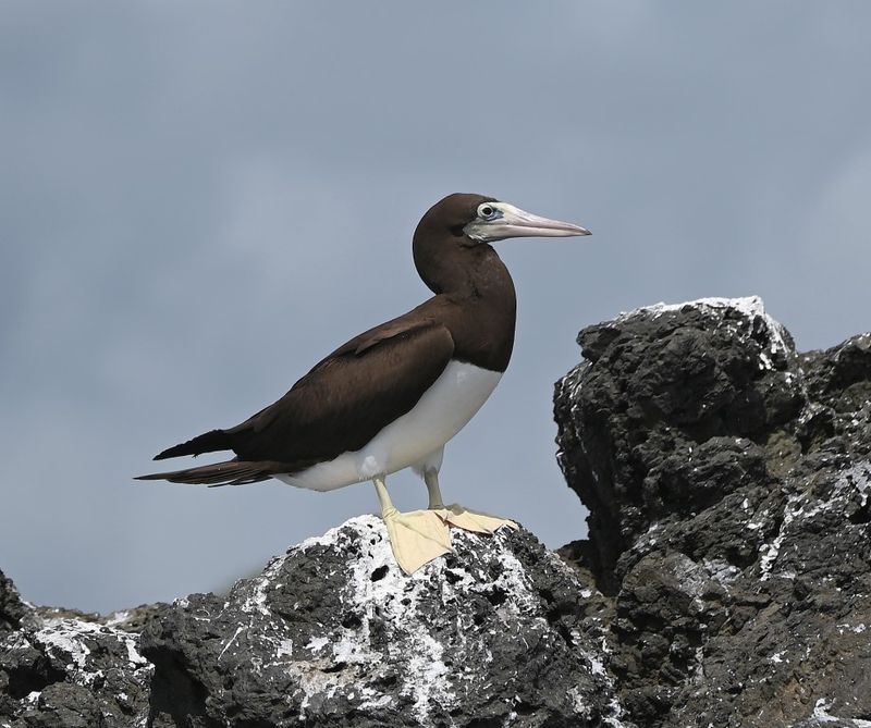DSC_8144b.jpg