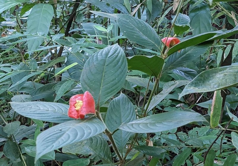 PXL_20230330_225912919b.jpg