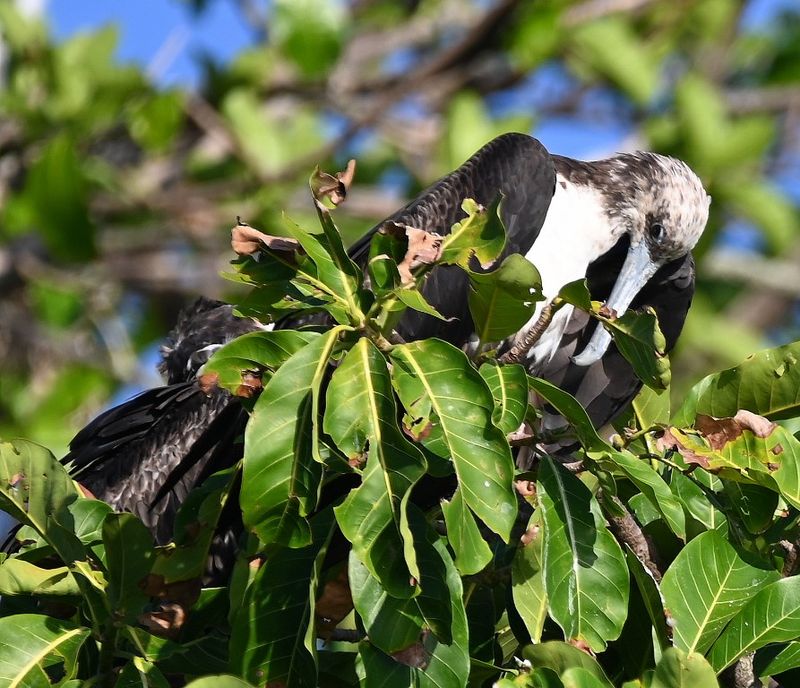 DSC_8263b.jpg
