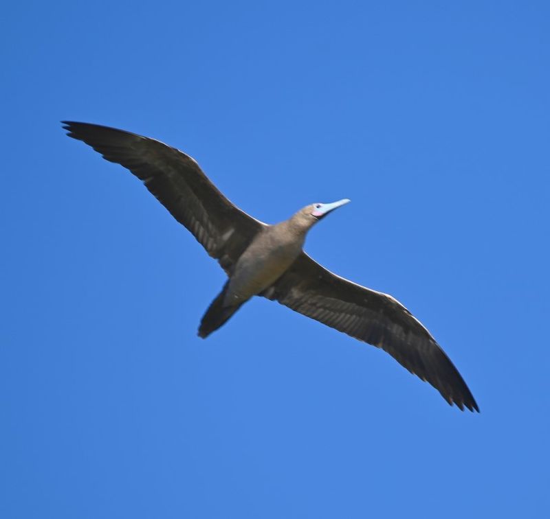 DSC_8271b.jpg