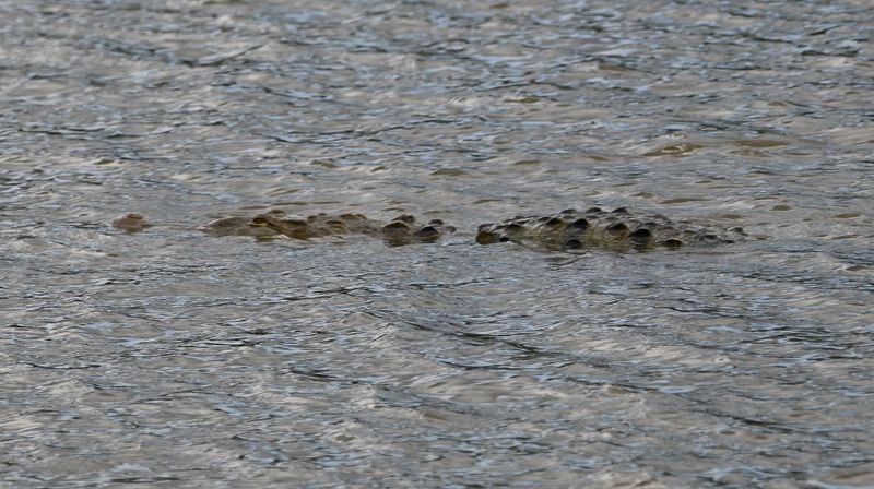 DSC_8722b.jpg