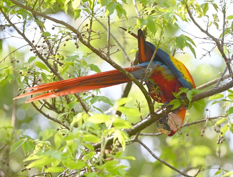 DSC_9023b.jpg