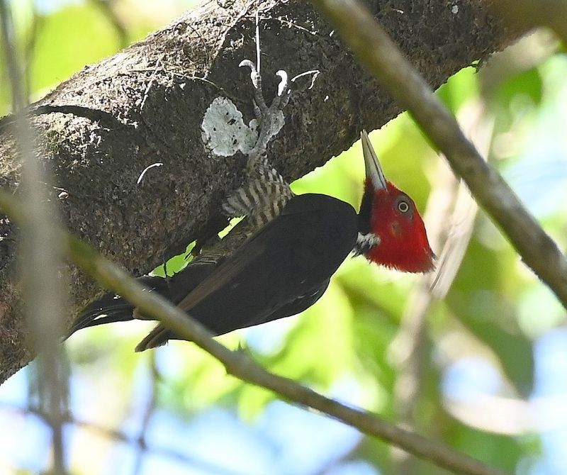 DSC_9382b.jpg