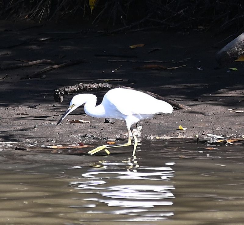DSC_9855b.jpg