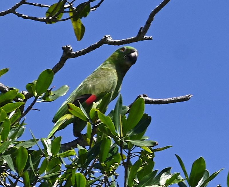 DSC_9987b.jpg