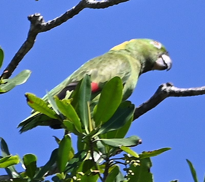 DSC_0006b.jpg