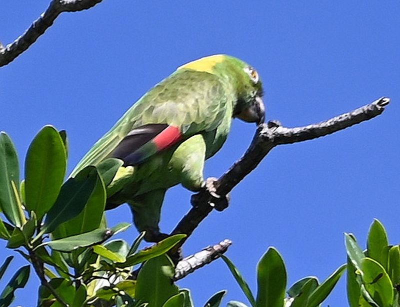 DSC_0017b.jpg
