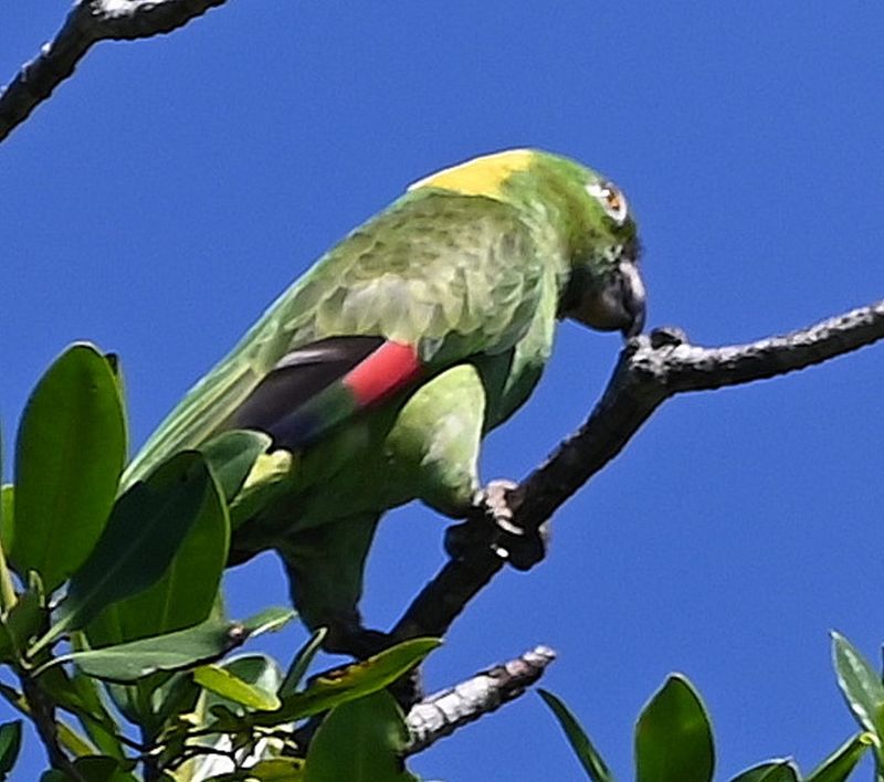 DSC_0018b.jpg