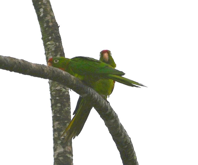 DSC_1327b.jpg