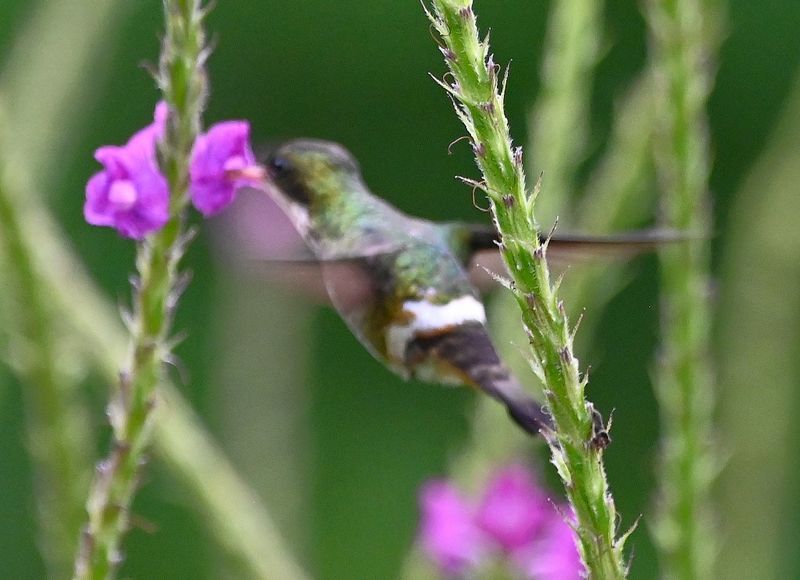 DSC_1676b.jpg