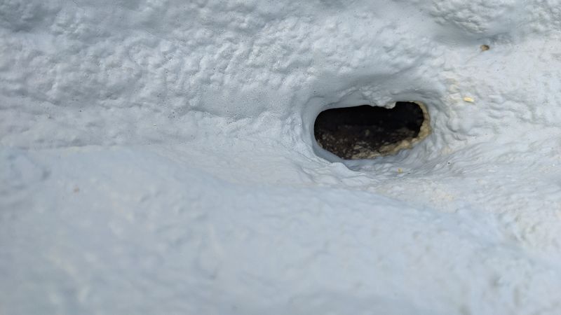 PXL_20231023_220556530.jpg
