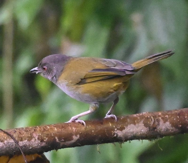 DSC_3656b.jpg