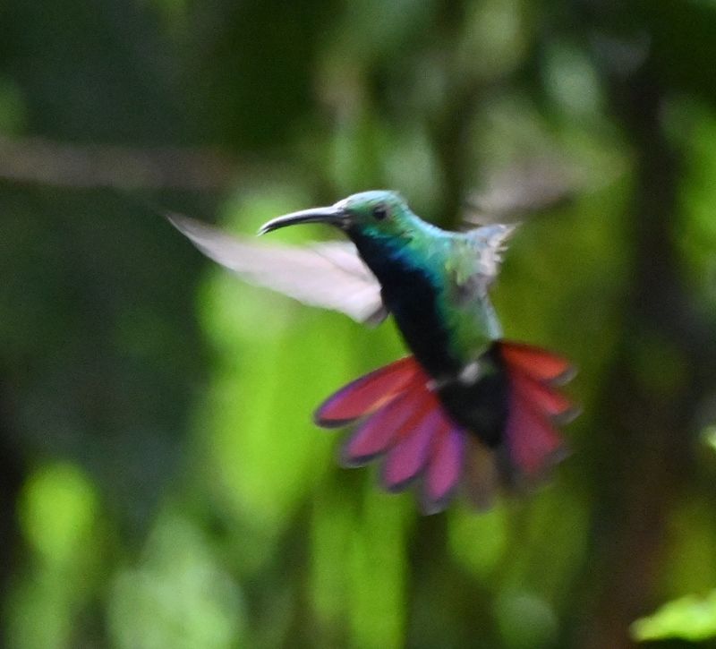 DSC_5211b.jpg