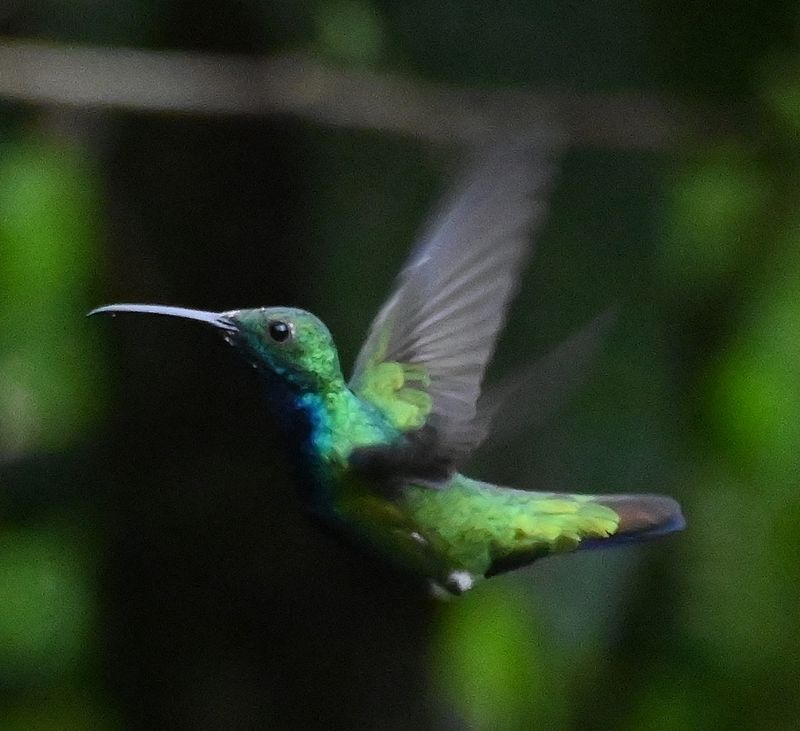 DSC_5334b.jpg