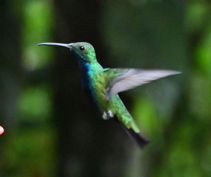 DSC_5335b.jpg