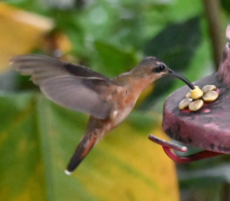DSC_5407b.jpg