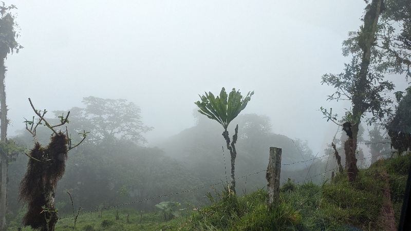 PXL_20240308_174512689b.jpg