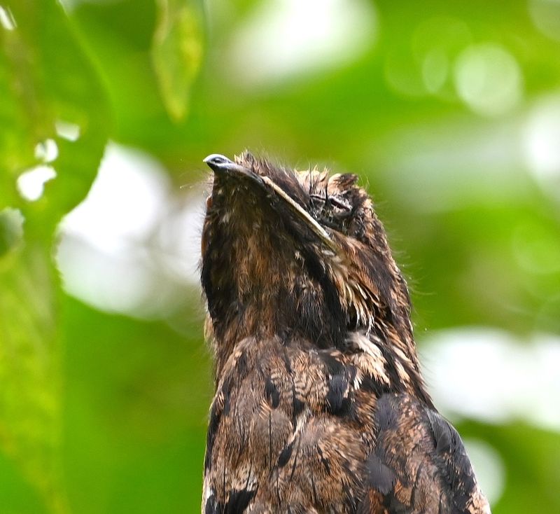 DSC_6073b.jpg