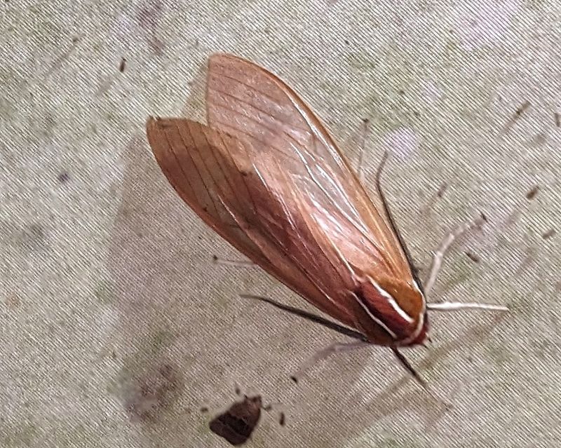 PXL_20240310_001941119b.jpg