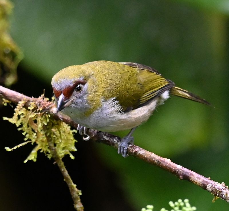 DSC_7309b.jpg