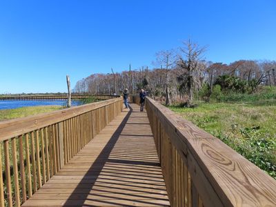 Steve and Jan on one of the sturdy boardwalks
They had built a lot of infrastructure at the Orlando Wetlands since the last time we visited.