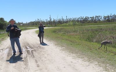 Steve and Jan had to back up to get a full image of the Sandhill Crane as it walked up to them. 