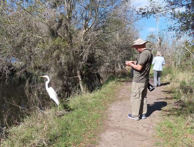The birds in FL were often less concerned with humans than birds in OK. This Great Egret let Jan walk by it and Steve was too close to get a photo with his long lens...