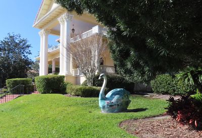 After lunch, we stopped at Lake Morton in Lakeland. There were swan figures on some of the lawns around the lake.