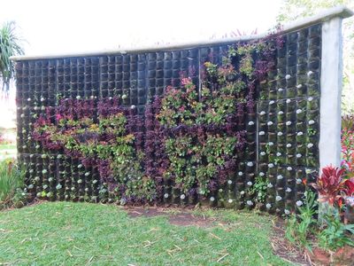 The 10 acres of plantings at the Hotel Bougainvillea were lush and artistic, like this vertical planter. When we got home and looked at the photo, we realized it is in the pattern of a butterfly (or 'buttermoth,' as the group came to call uncertainly-identified lepidopteras).