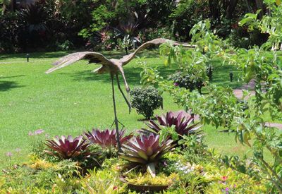 An egret sculpture in the garden
