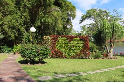 The bromeliad heart at a distance