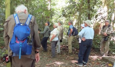 We also visited nearby Carara National Park: Gary, Erick, Dawn, Michael, Ross, Carolyn, Andy, Jerry