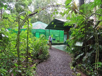 The green structure is an enclosed butterfly habitat.