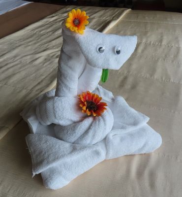 Back at Arenal, the day's towel art was a cobra.