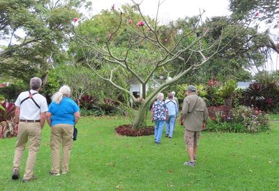 TRIP DAY 12 (Fri, 4/7): 

Becky and Gary had to leave for their plane back to Alaska in the middle of the night, but some of us who were leaving after breakfast took one more walk around the grounds at Hotel Bougainvillea before boarding our shuttle to the airport and home.