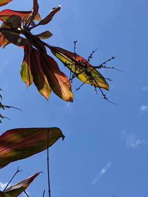 PXL_20230328_155623139b.jpg