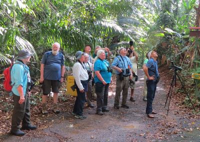 Looking for a bird on one of the Drake Bay Wilderness Lodge trails
Becky, Garry, Carolyn, Mary, Steve, Ross, Dawn, Jerry, Michael, Erick 
Photo by Andy Johannson