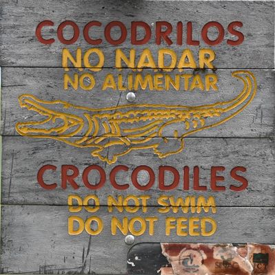 And another, more ominous sign at the restaurant in Sierpe where we had lunch. We did see some crocodiles cruising the river.