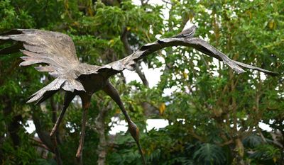 A White-winged Dove chose the wing of an egret sculpture in the garden for its perch.
