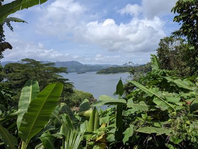 Lake Arenal, through the palm leaves at the top of the dam trail