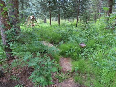 There was a path from the patio down to the creek below.