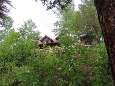 Looking back at the house from down the path