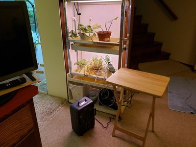 We also bought space heaters at Lowe's to keep the ambient temperatures up for the birds and us.
