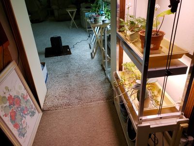 Heater for Mary's plants in the sunroom