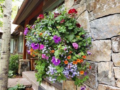 One of the beautiful hanging baskets around the entrances to the house