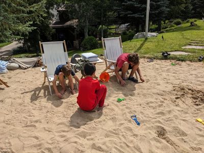 They are very focused on whatever it is they are doing.
