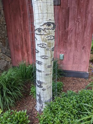 Aspen eyes are watching.