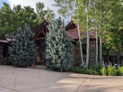 The front door is hidden behind those two spruce trees.