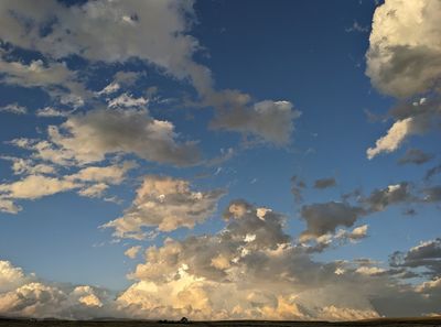 PXL_20230709_021101909b.jpg